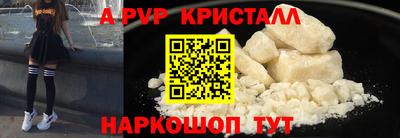 СК Бийск