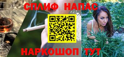 СК Бийск