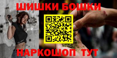 СК Бийск