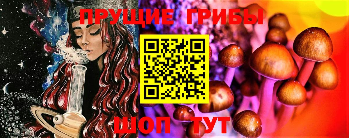 Галлюциногенные грибы Psilocybe Каспийск