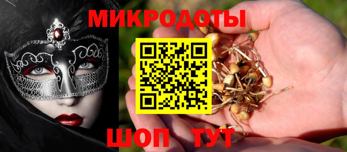 Галлюциногенные грибы Psilocybine cubensis  магазин    Каспийск  Псилоцибиновые грибы Psilocybine cubensis  Вход с VPN 